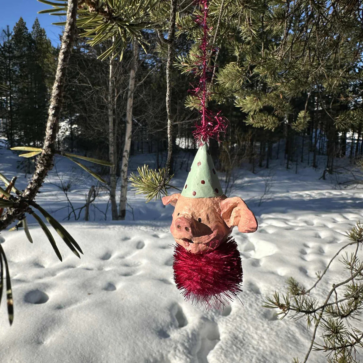 Medusa Copenhagen Bob, the pig