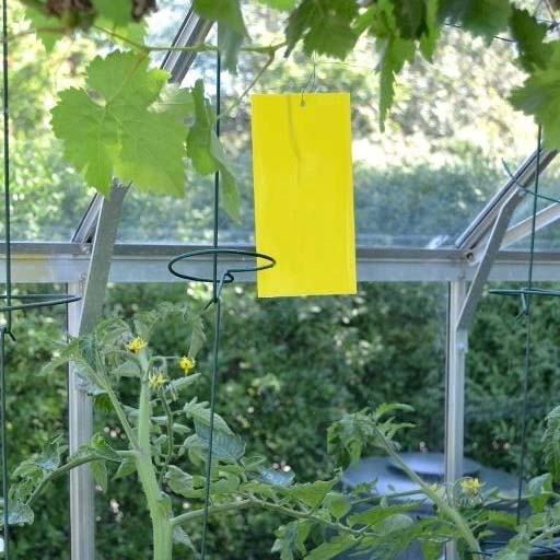 Green Protect Gule Insektfælder 5 stk. Green Protect Gule Insektfælder 5 stk.