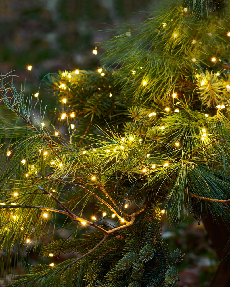 Sirius - Knirke 500 lys, Klar/Grøn