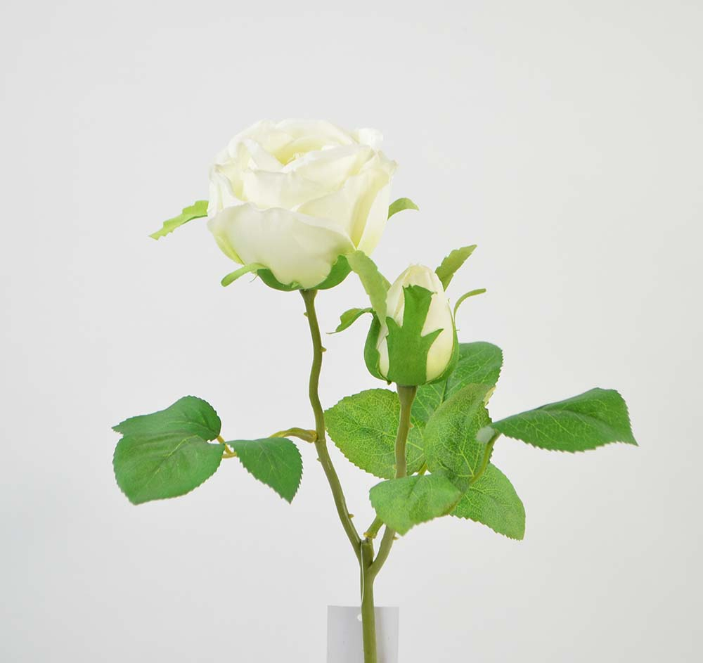 Rose, 42 cm, white-cream