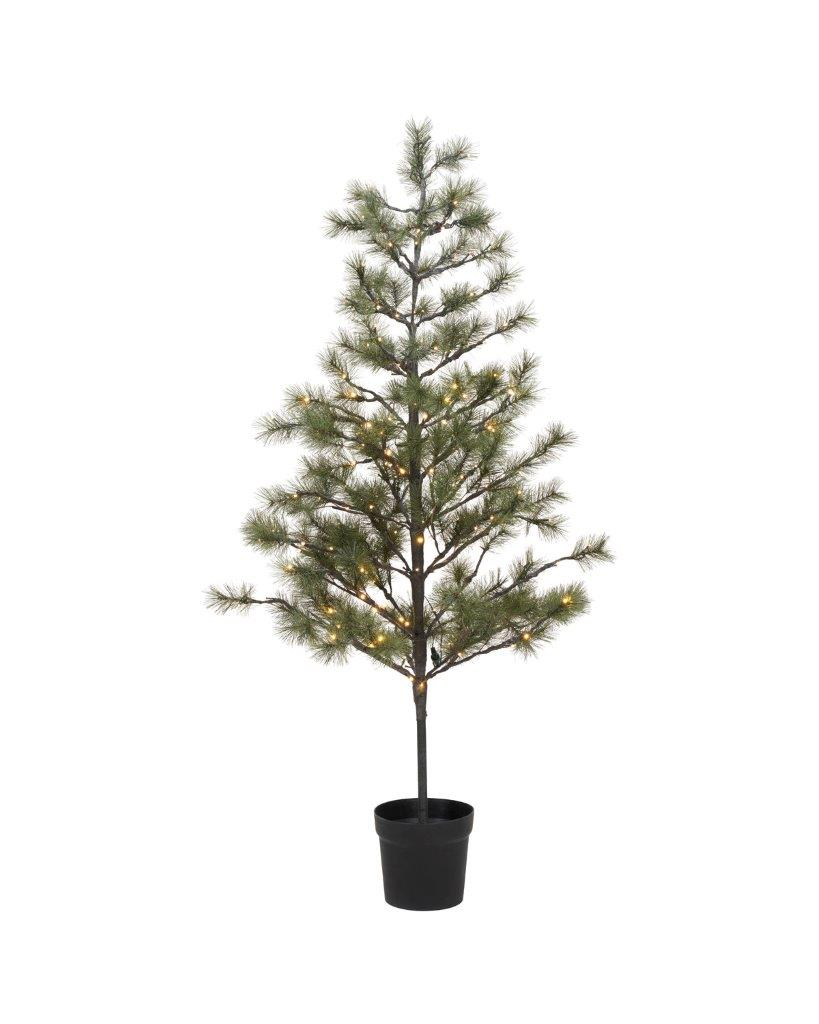 Juletræ, Peuce, Natur H 180 cm, med LED lys