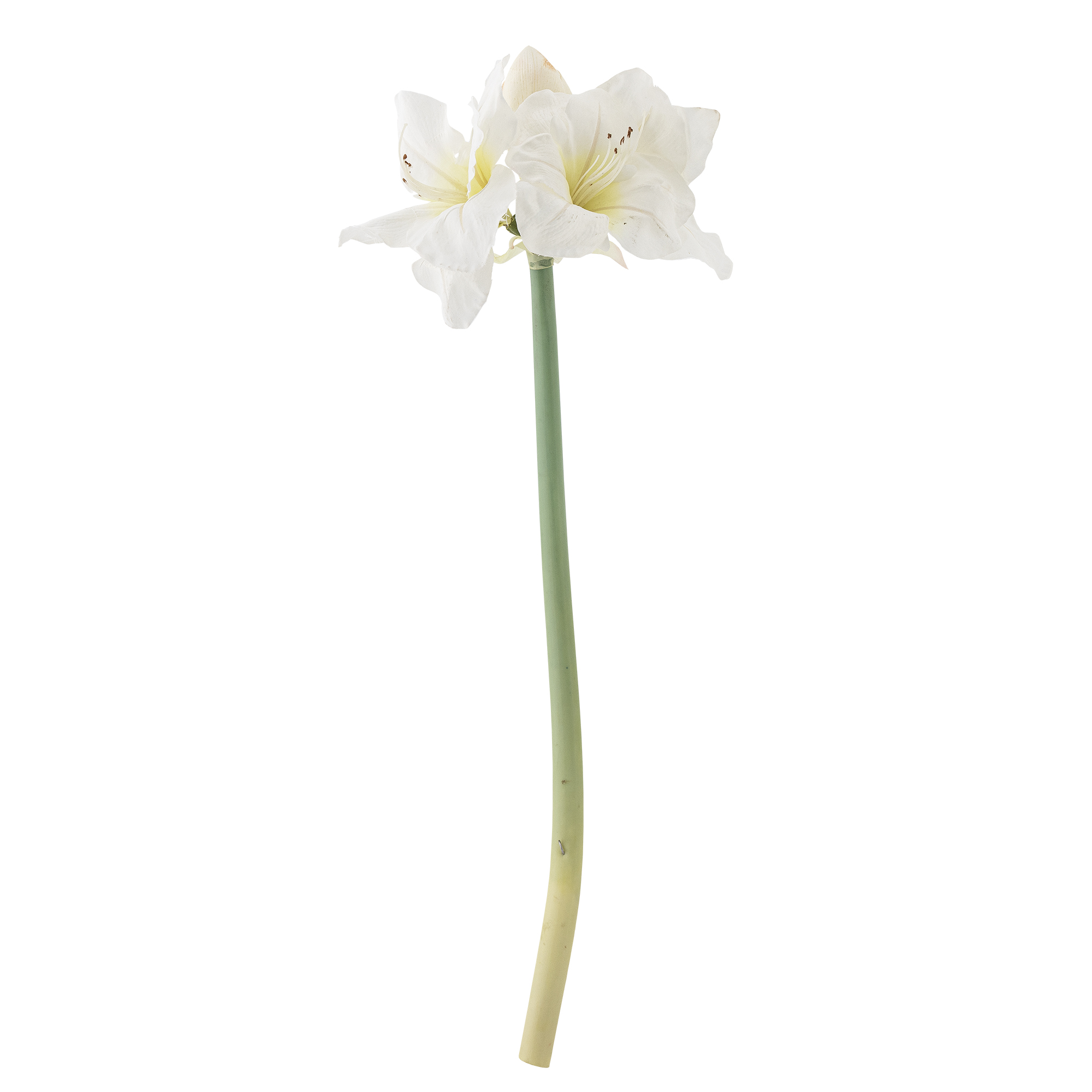 Bloomingville - Amaryllis Stilk, Hvid, Kunstige Blomster, D23xH74 cm