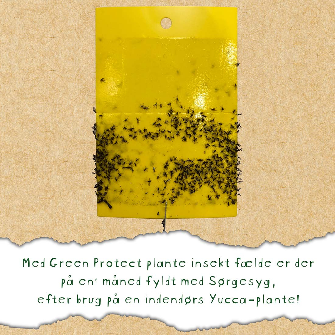 Green Protect Plante Insektfælde