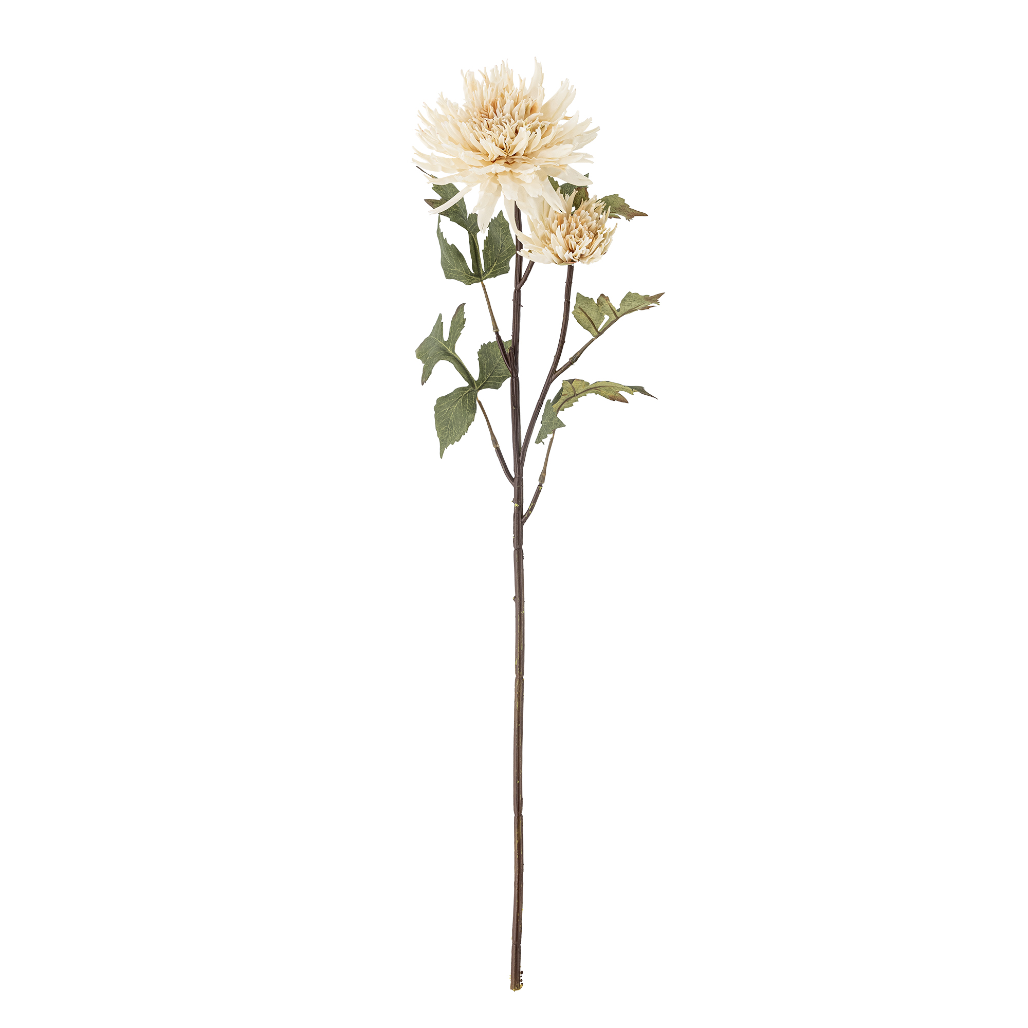 Bloomingville - Chrysantemum Stilk, Natur, Kunstige Blomster, D25xH80 cm billede