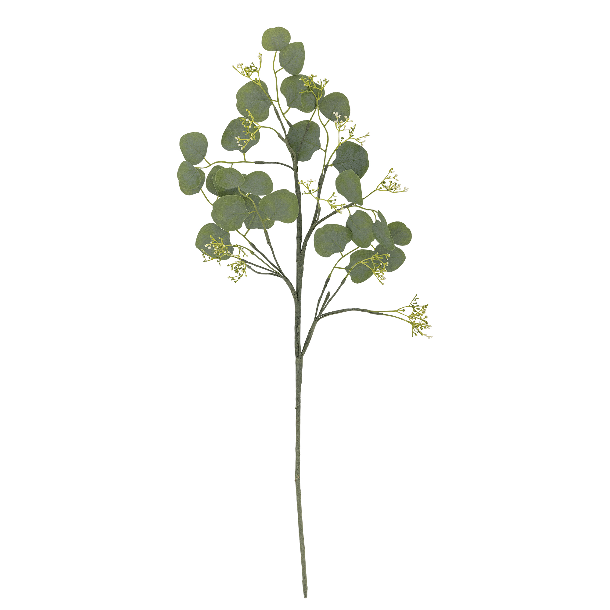 Bloomingville - Eucalyptus Stilk, Grøn, Kunstige Blomster, D24xH82 cm