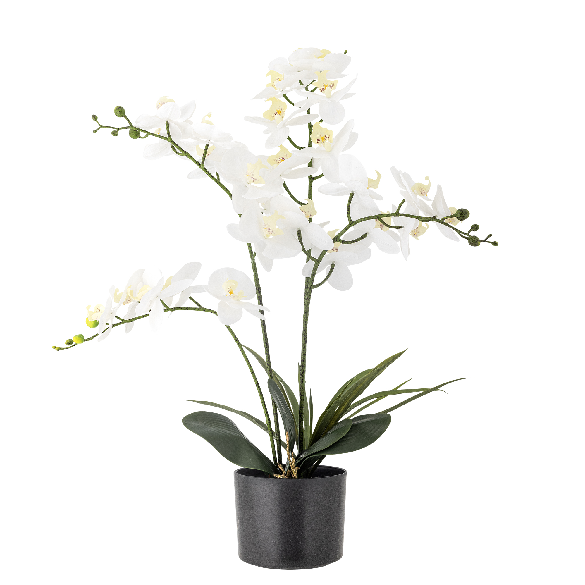 Bloomingville - Orchid Plante, Hvid, Kunstige Blomster, H84 cm, pot D16xH13 cm billede