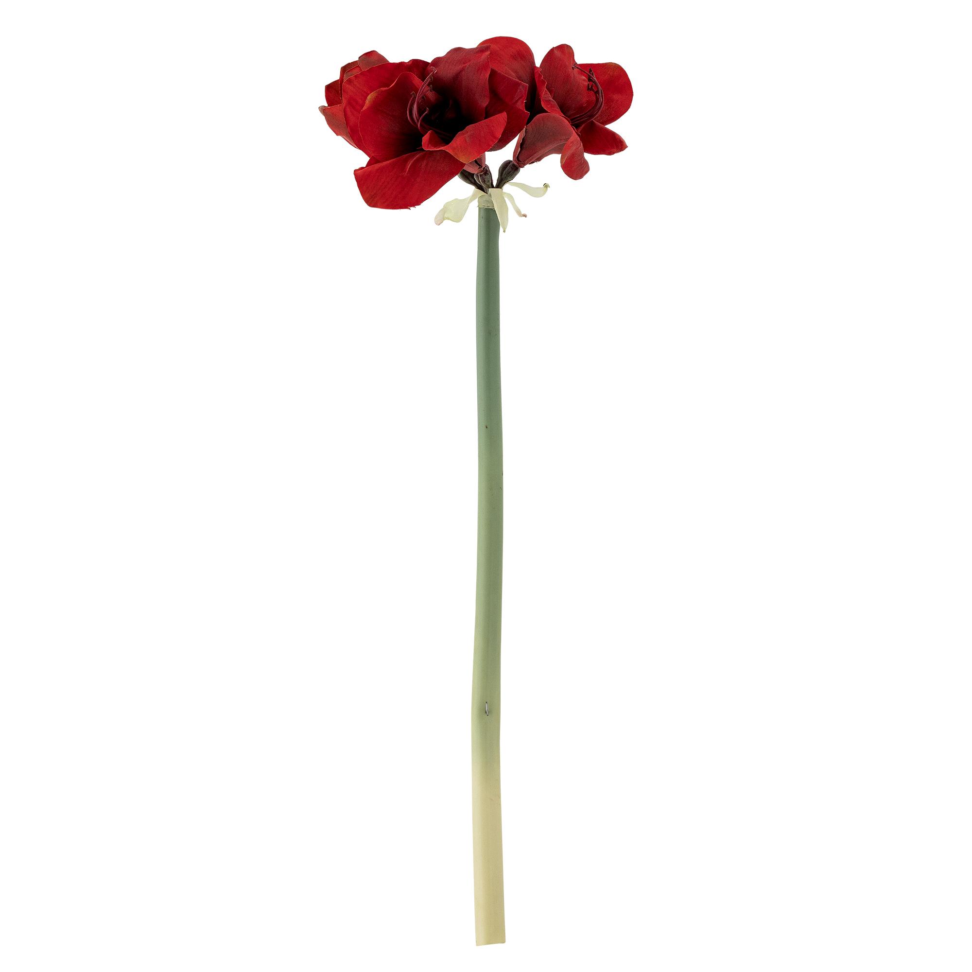 Bloomingville - Amaryllis Stilk, Rød, Kunstige Blomster, D23xH74 cm
