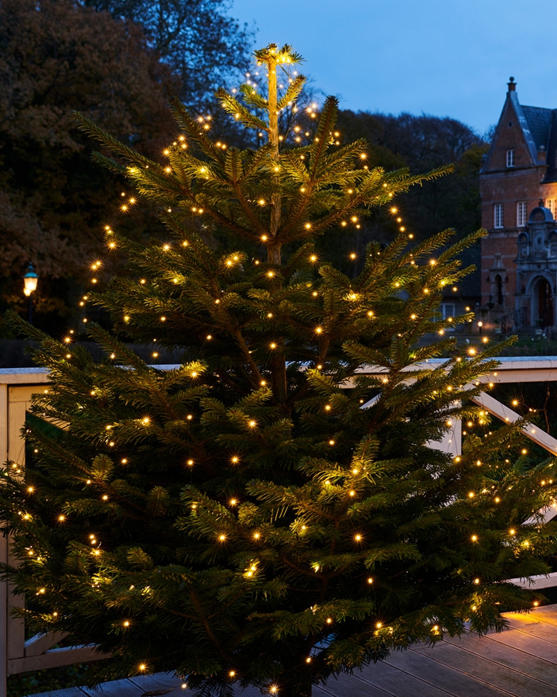 Billede af Sirius - Knirke Juletræ Top, Varm Hvid, 273 LED