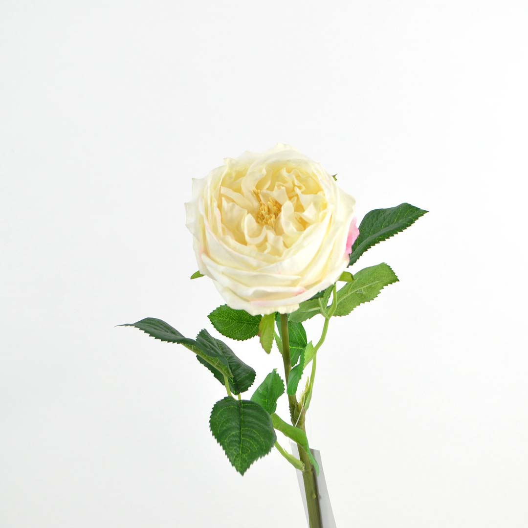 Cabbage rose real touch, 59 cm, cream