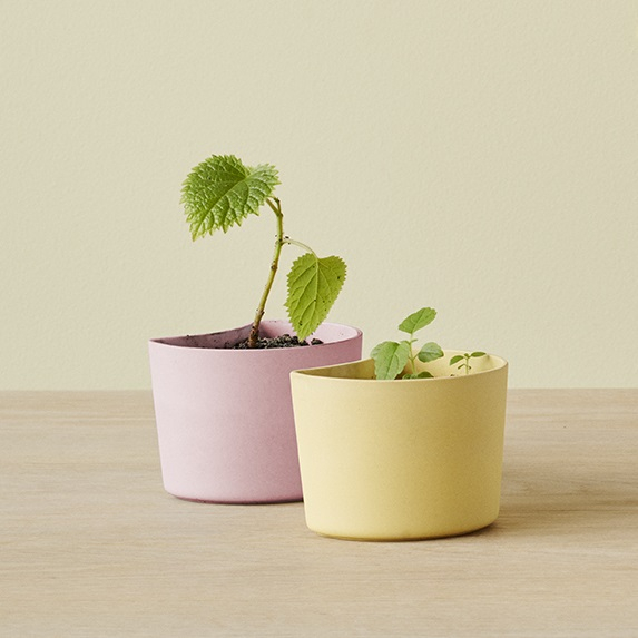 YOUR TREE - Plantepotte med frø, Blå* YOUR TREE - Plantepotte med frø, Blå*