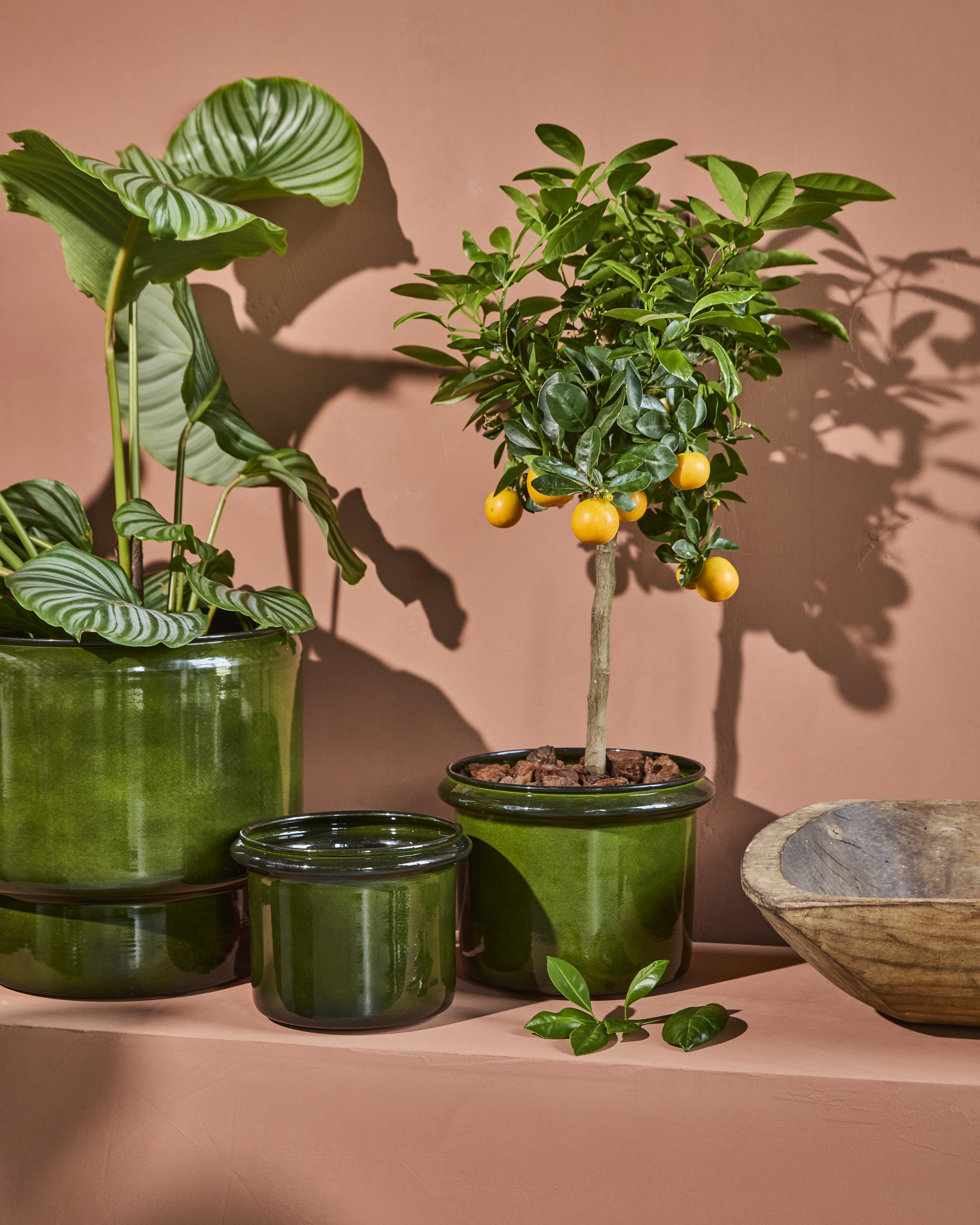 Urtepotte, Hoop, 2 stk, Grøn