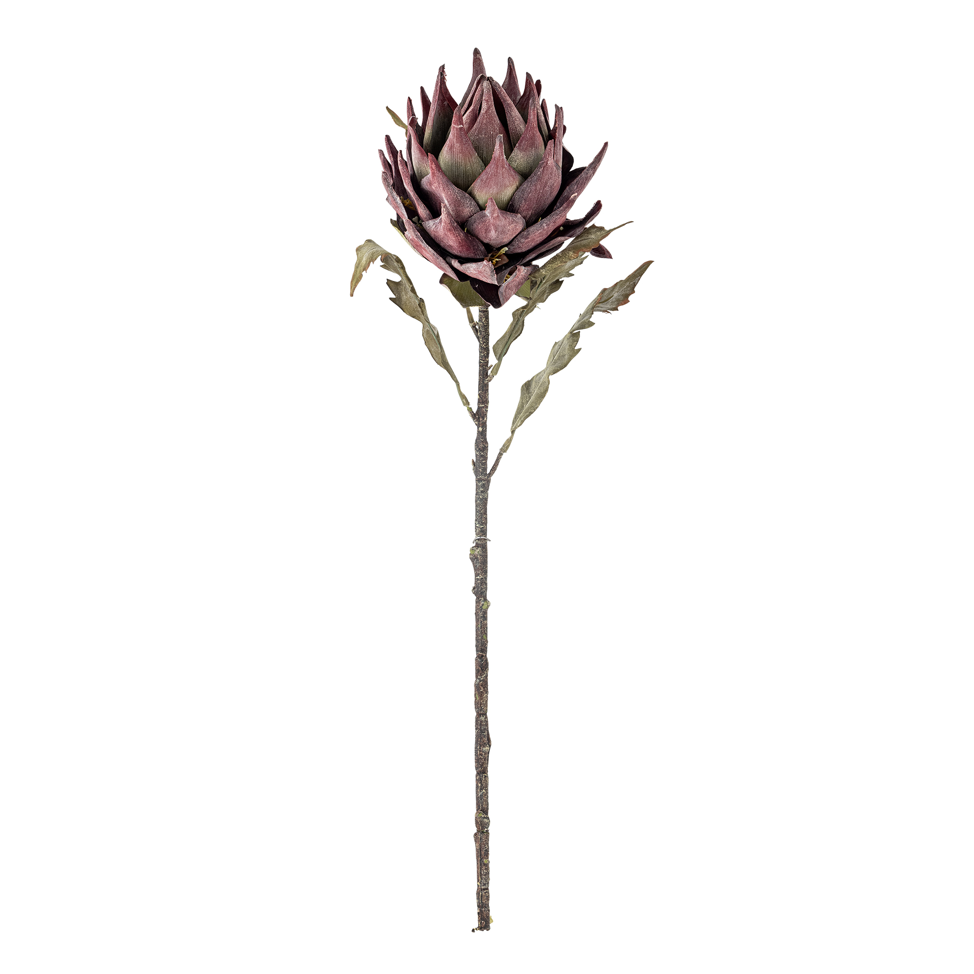 Bloomingville - Protea Stilk, Lilla, Kunstige Blomster, D20xH76 cm