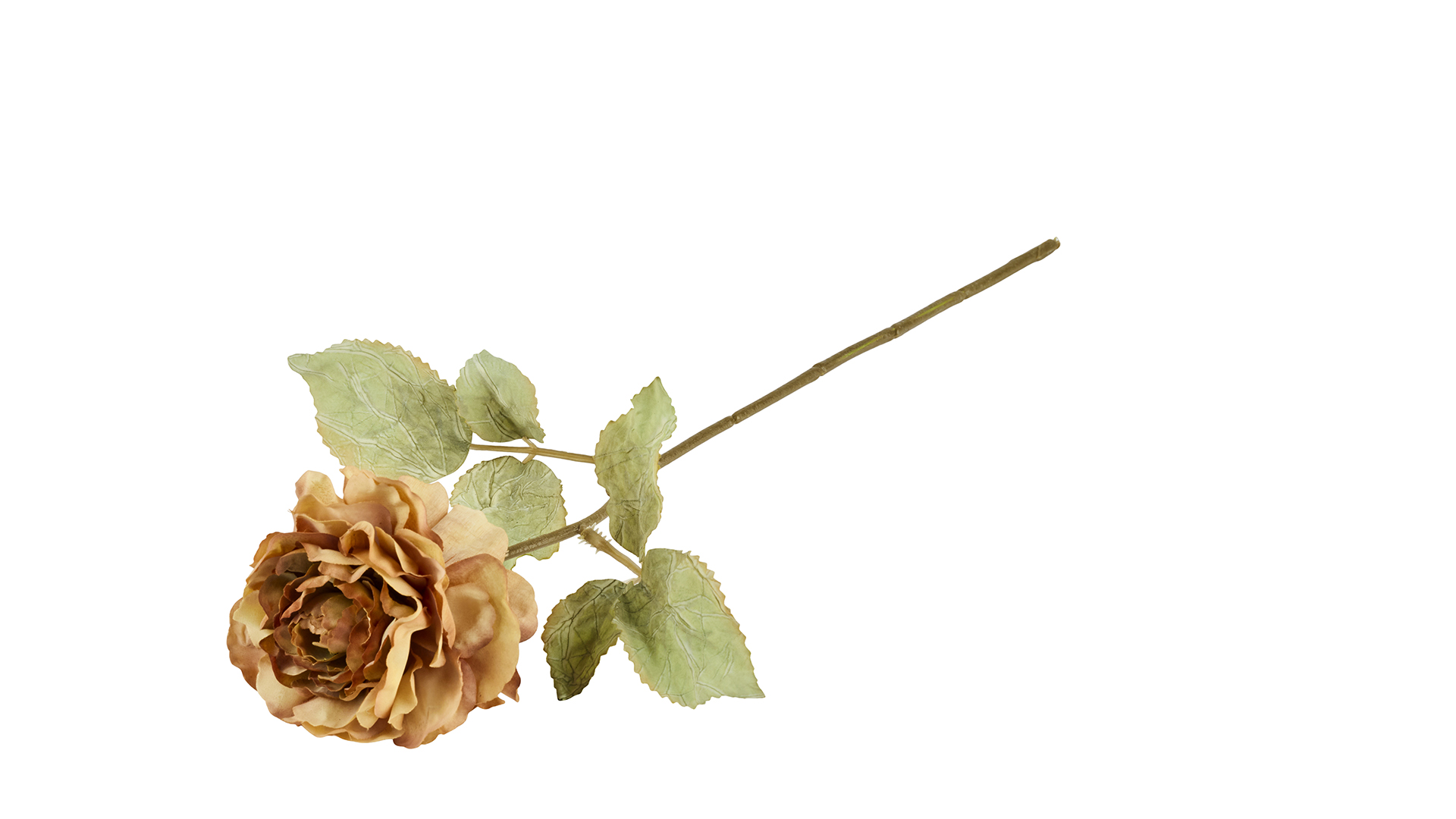 2Have - Silkeblomst Rose Antik 38 cm Gul