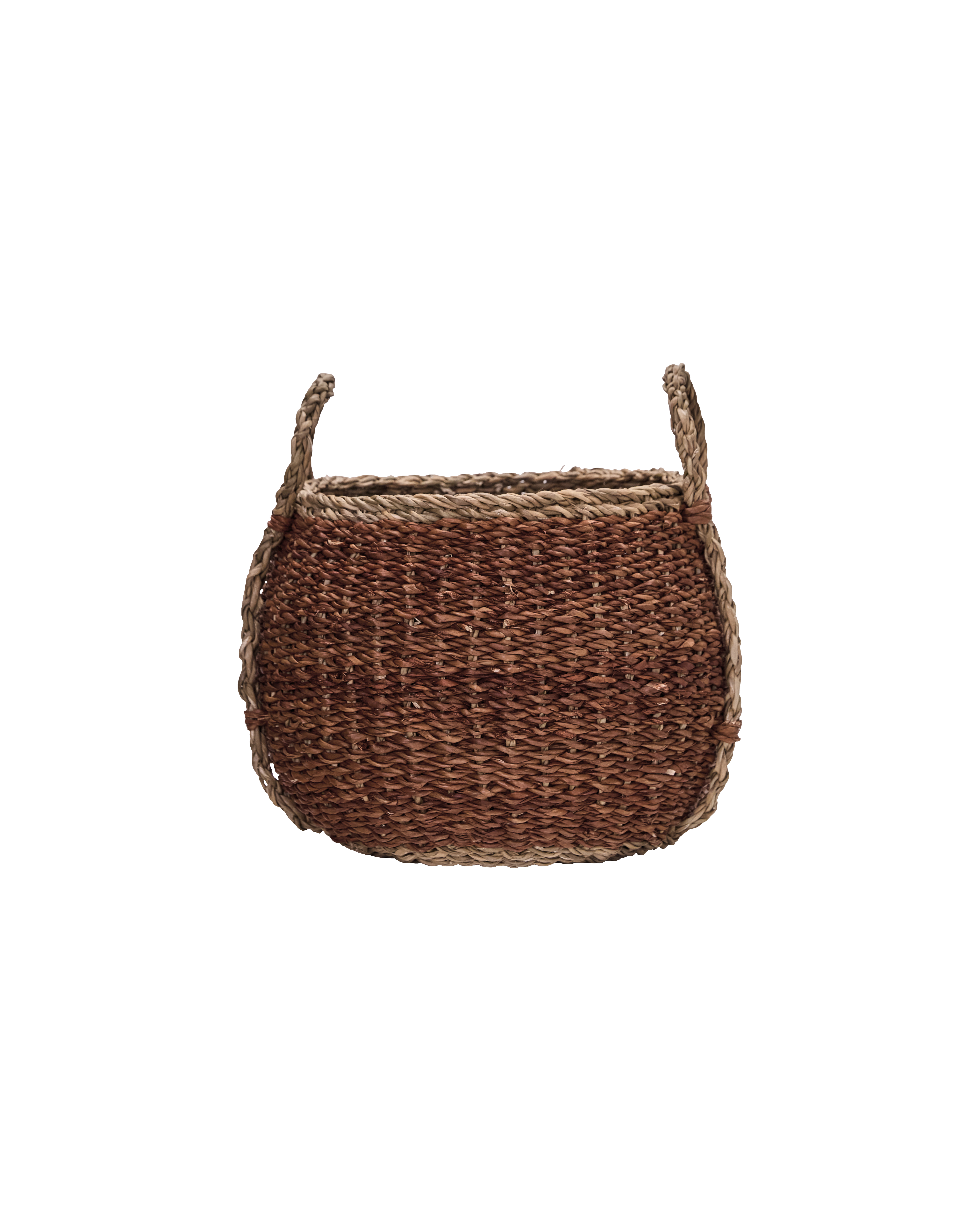 Opbevaringskurve, Rangi, Brun