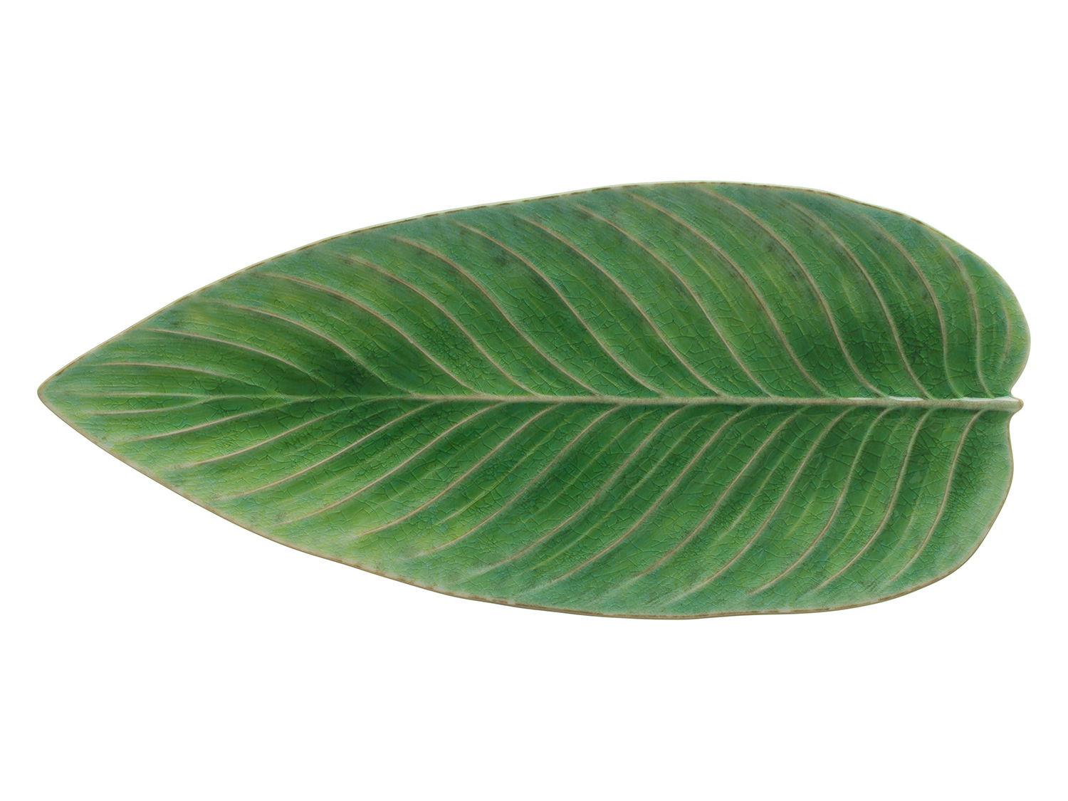 Costa Nova - Serveringsfad aflangt blad Riviera 40 x 17 cm Grøn/Sort