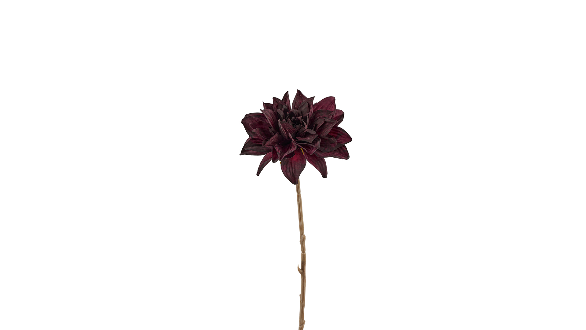 2Have - Silkeblomst Dahlia 33 cm Purple