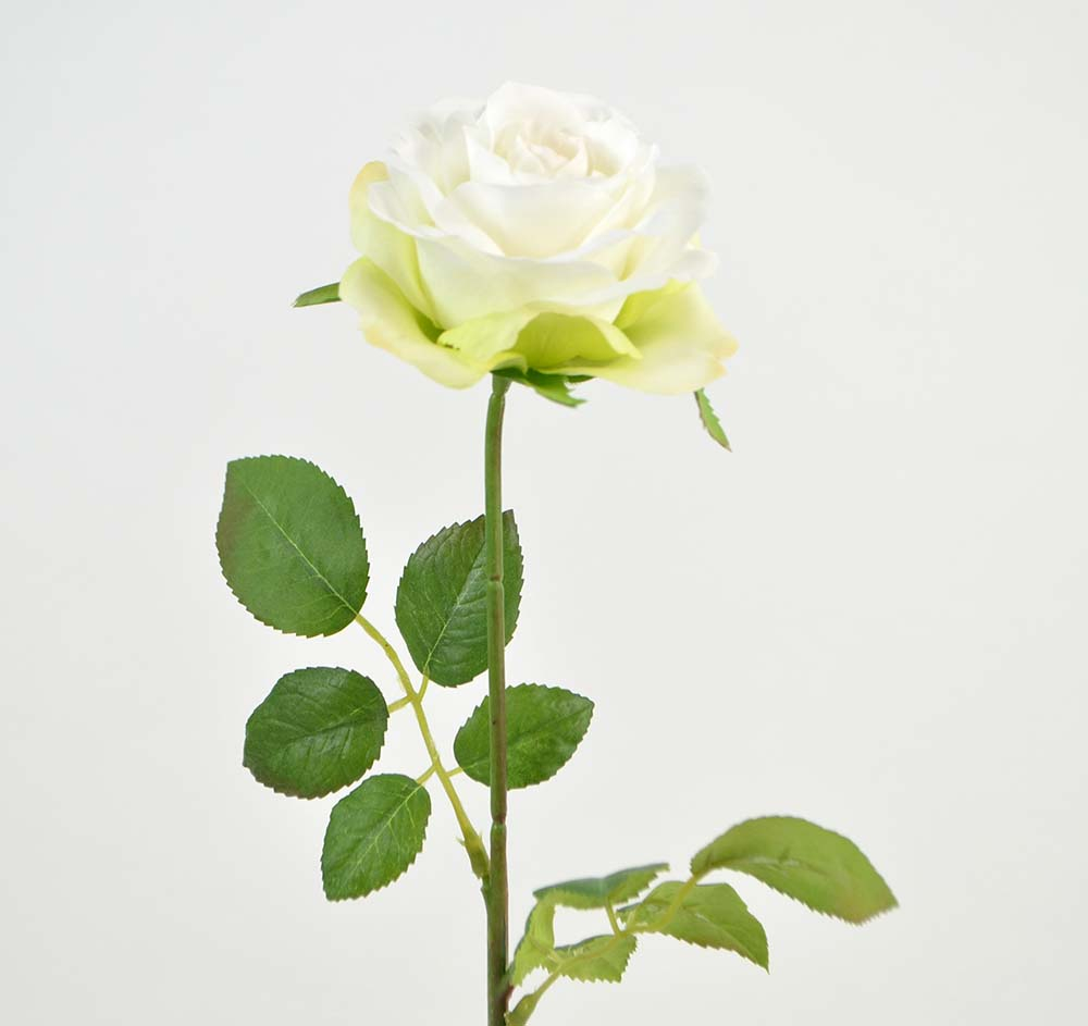 Rose branch, 43 cm, white