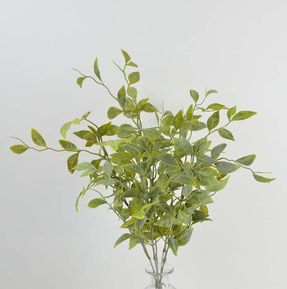 Wisteria leaf bush, 54 cm, green