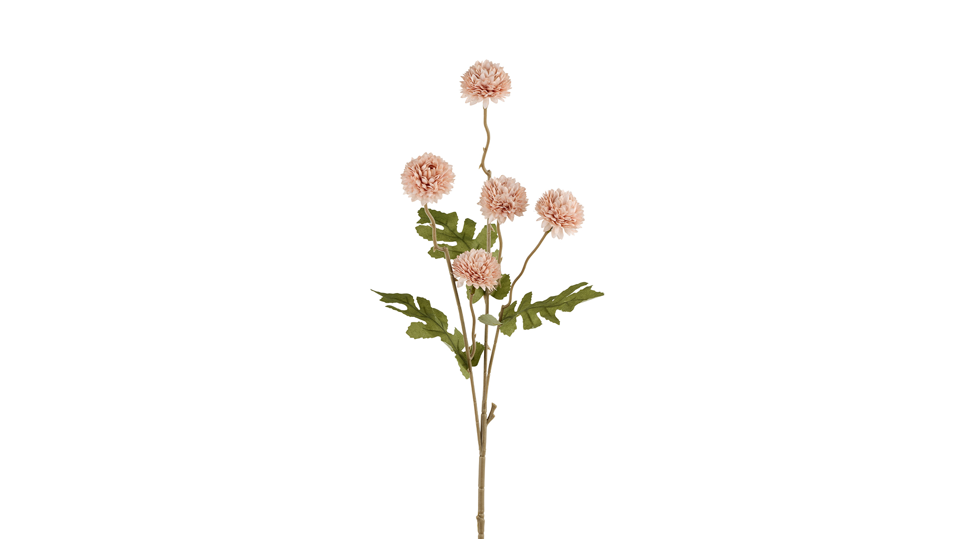 2Have - Silkeblomst Chrysantemum 50 cm Rosa