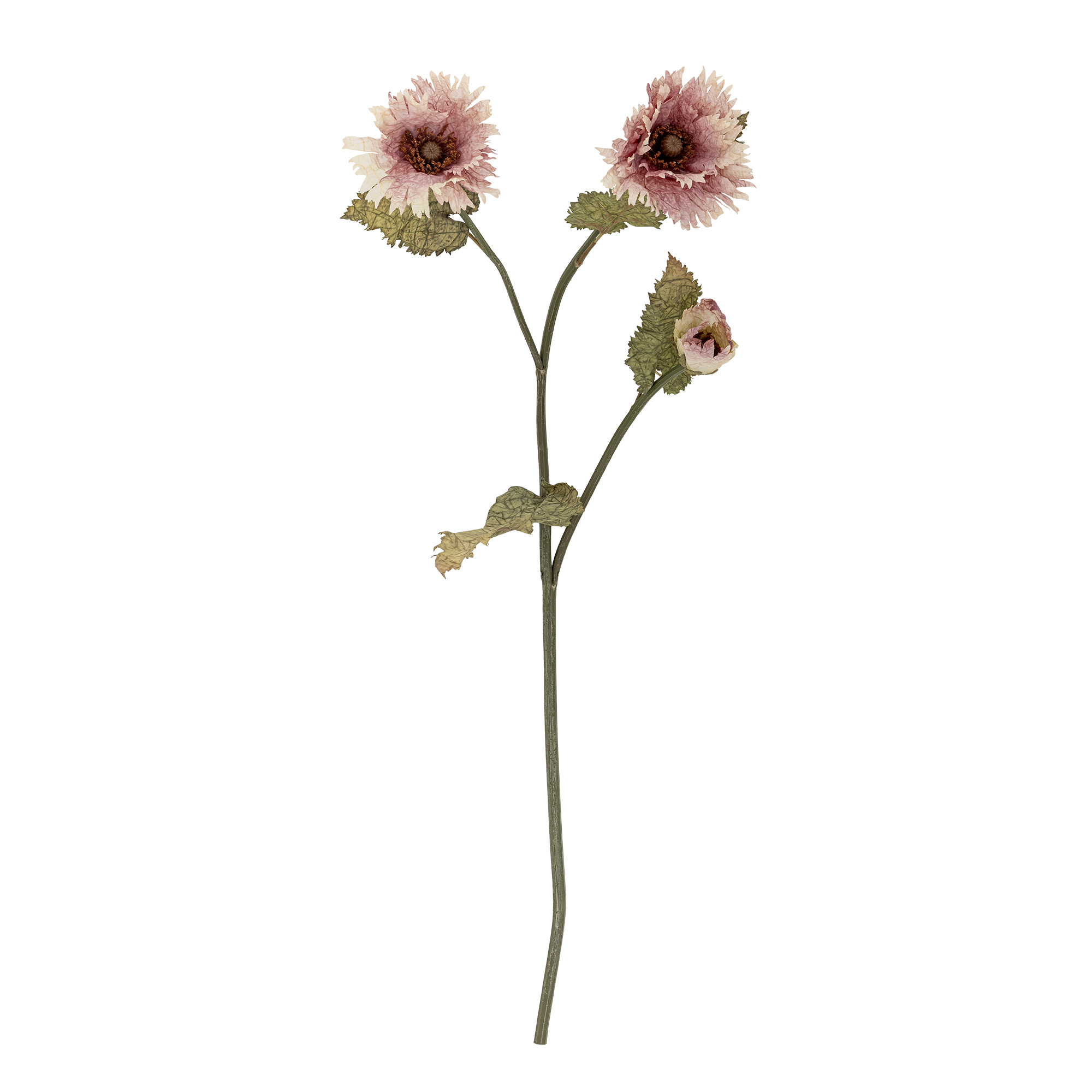 Bloomingville - Chrysantemum Stilk, Rosa, Kunstige Blomster, D29xH96 cm