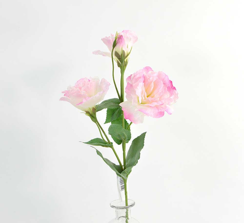 Lisianthus, 53 cm, pink