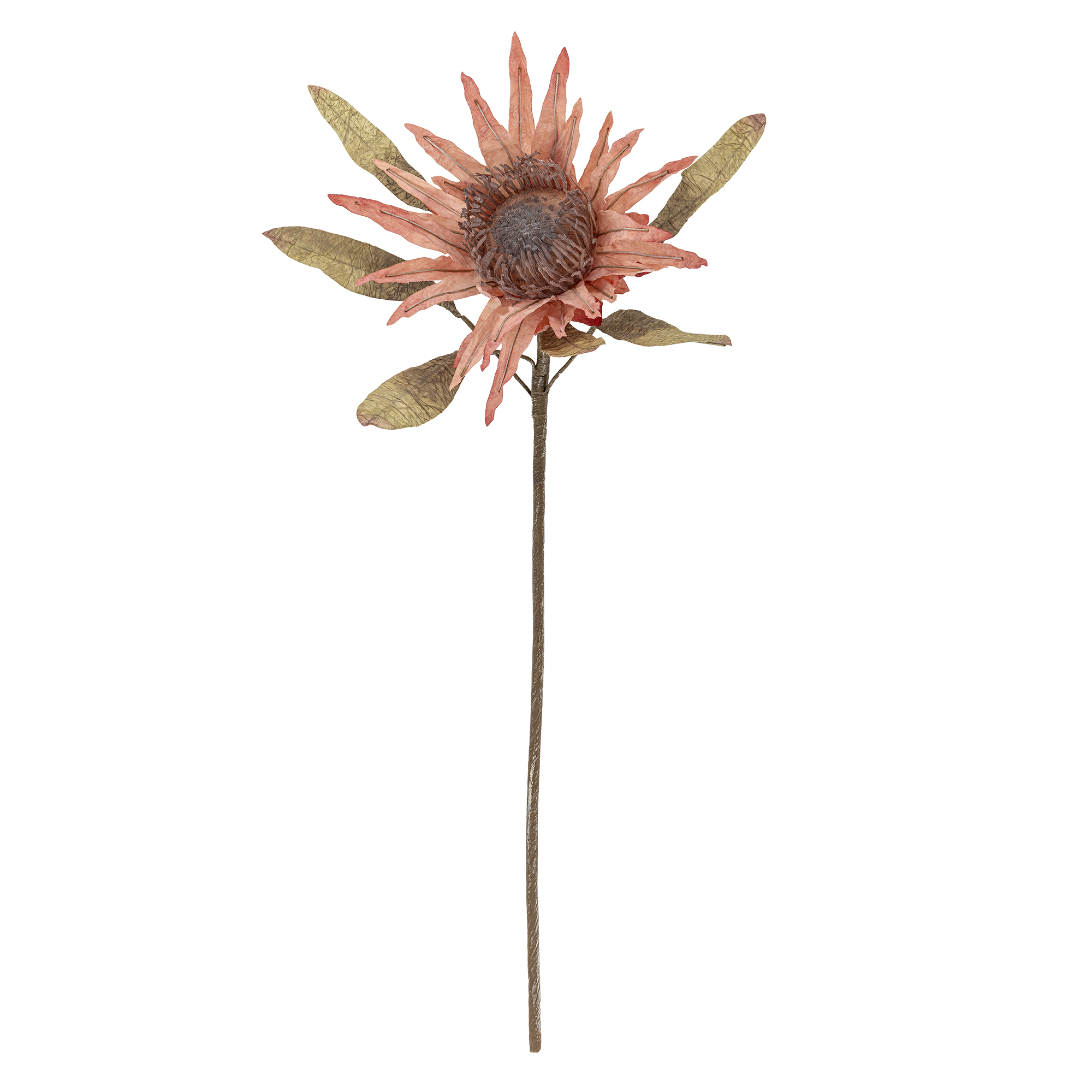 Bloomingville - Protea Stilk, Rosa, Kunstige Blomster, D22xH100 cm