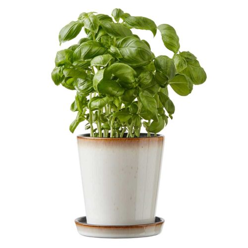 BITZ Skjuler Ø:10 cm, Creme/sort