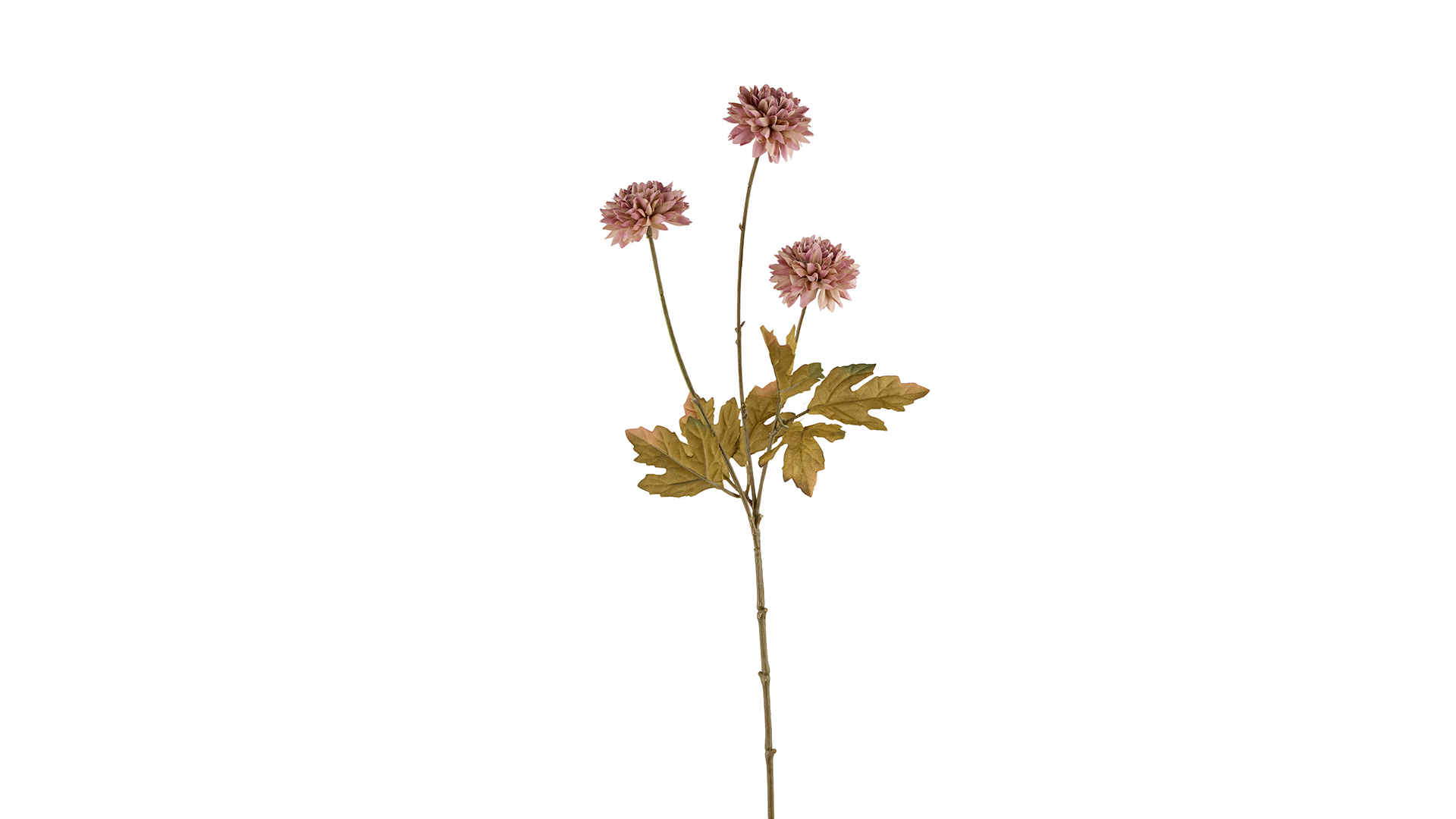 Silkeblomst Chrysantemum 58 cm Pink