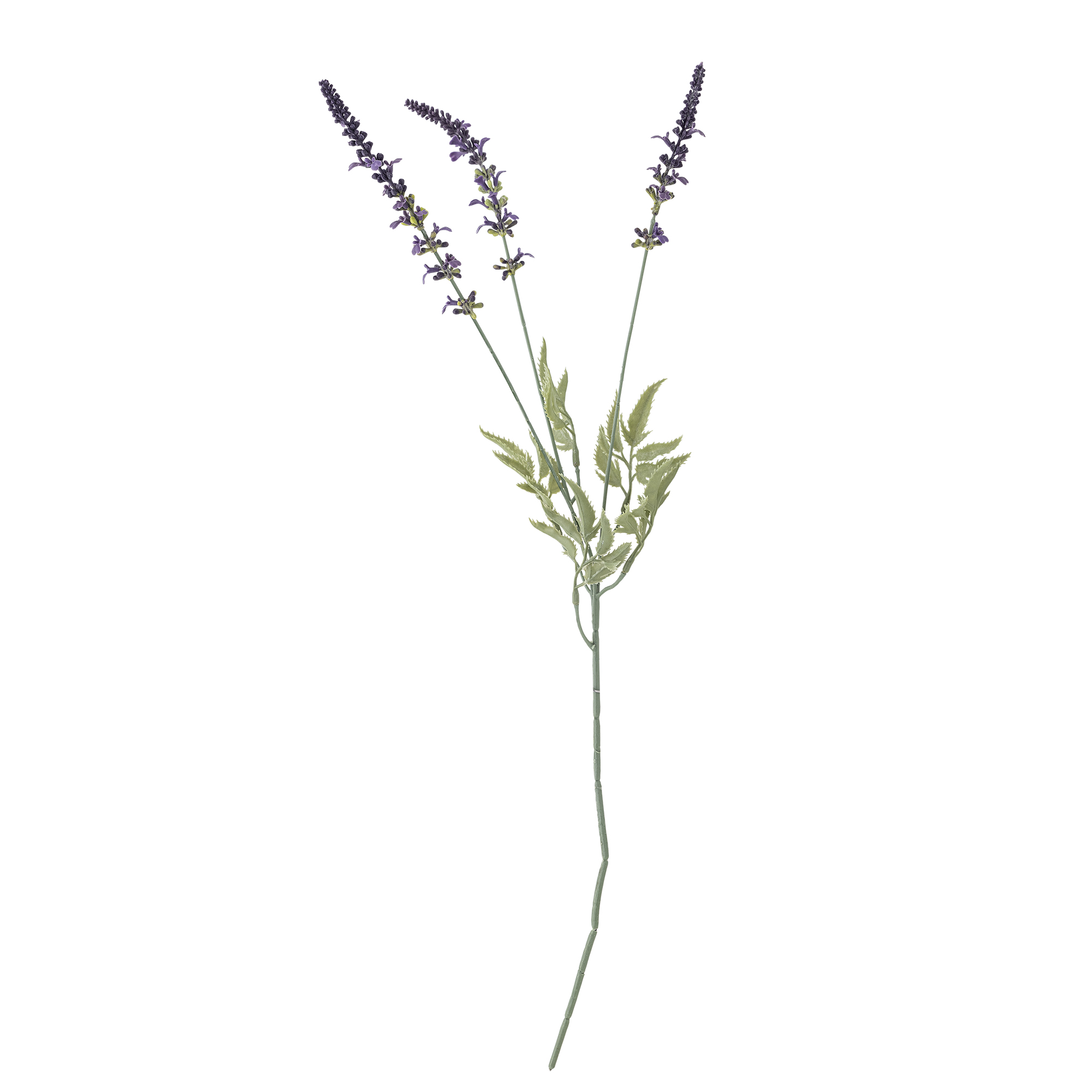 Bloomingville - Lavender Stilk, Lilla, Kunstige Blomster, D10xH65 cm