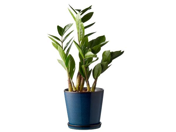 BITZ Skjuler Dia. 14 cm Mørkeblå/sort* BITZ Skjuler Dia. 14 cm Mørkeblå/sort*