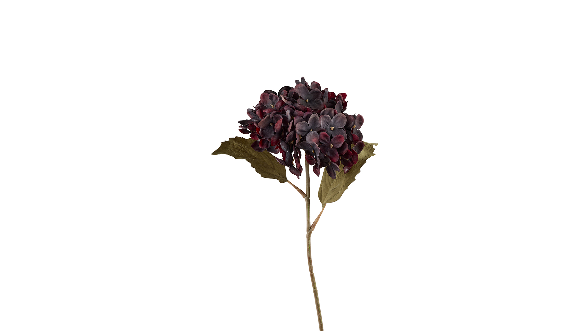2Have - Silkeblomst Hortensia 42 cm Boredaux