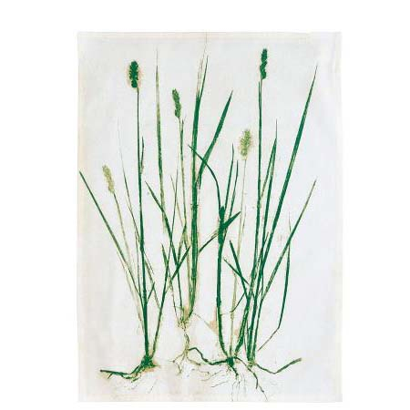 Södahl -  Grass Viskestykke 50 x 70 cm