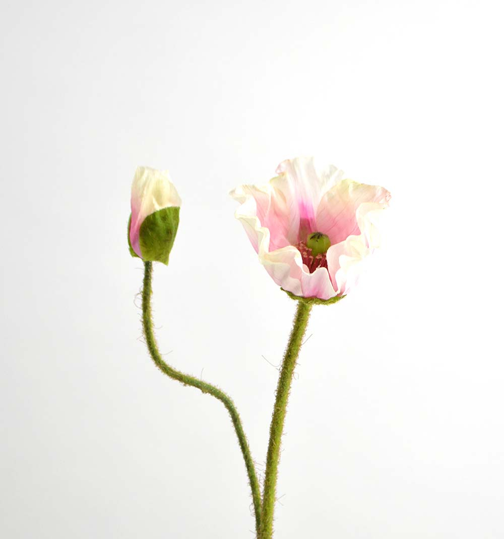 Poppy, 46 cm, pink
