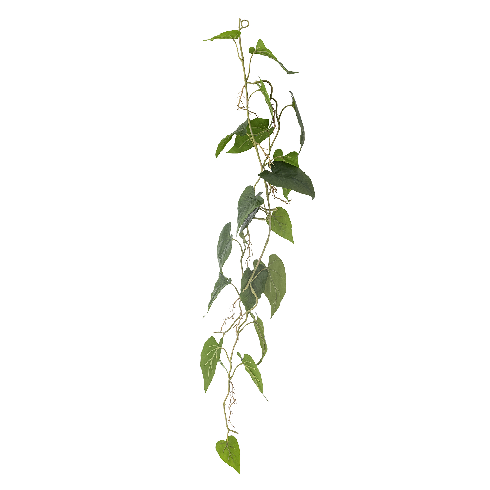 Bloomingville - Anthurium Plante, Grøn, Kunstige Blomster, D20xH117 cm