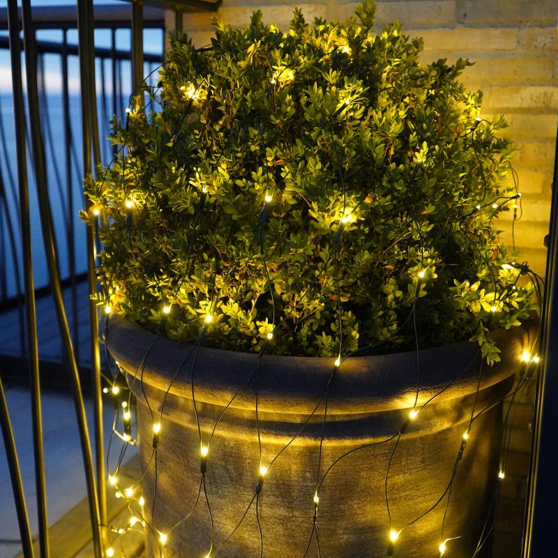 Sirius - Easy-Line Net 100 LED, 1,5m, Varm Hvid billede