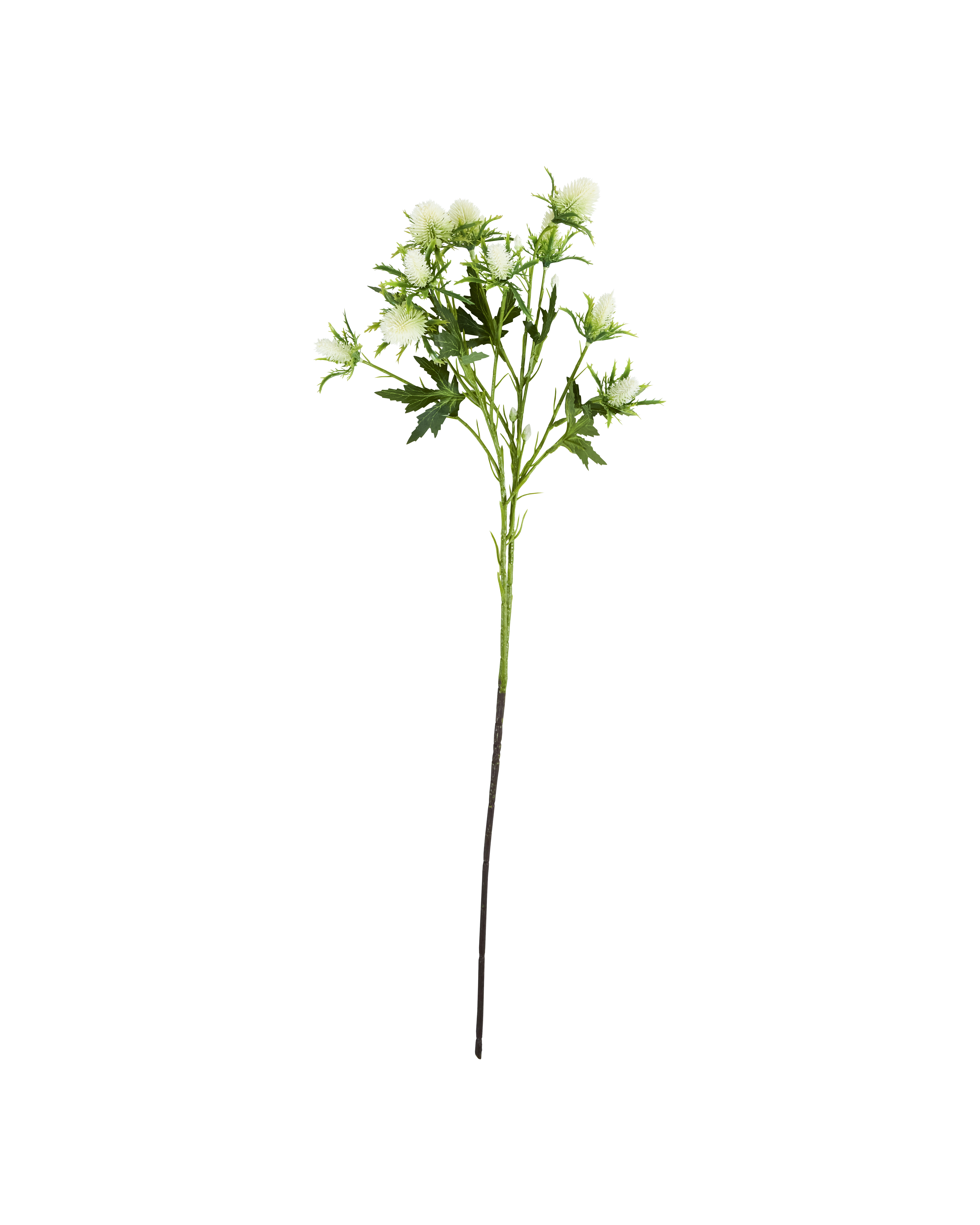 House Doctor - Artificial flower, Eryngium, Hvid