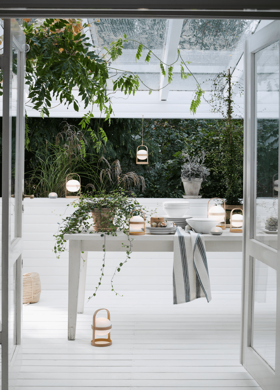 Soft Spot Solar Circular H25 wheat