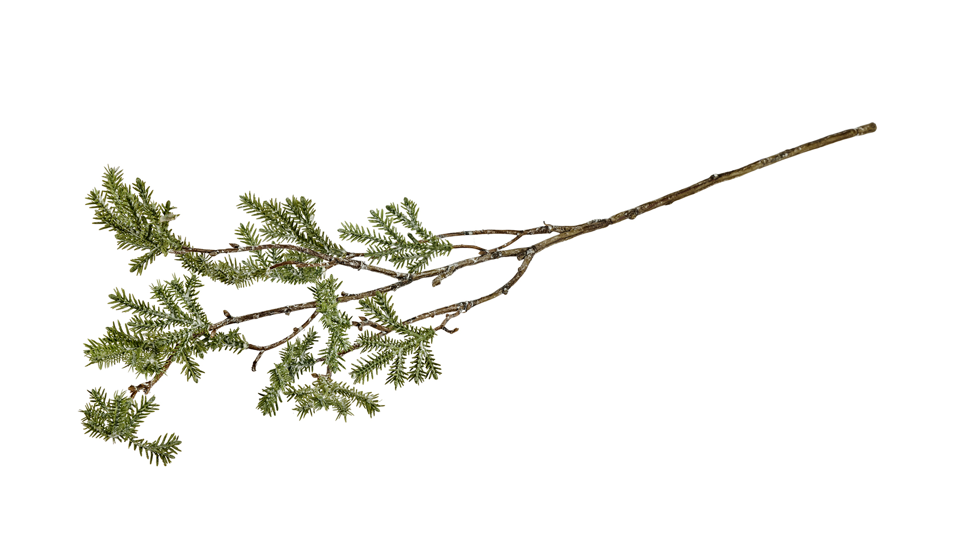 Silkeblomst Krypto. L:60 cm Grøn/hvid