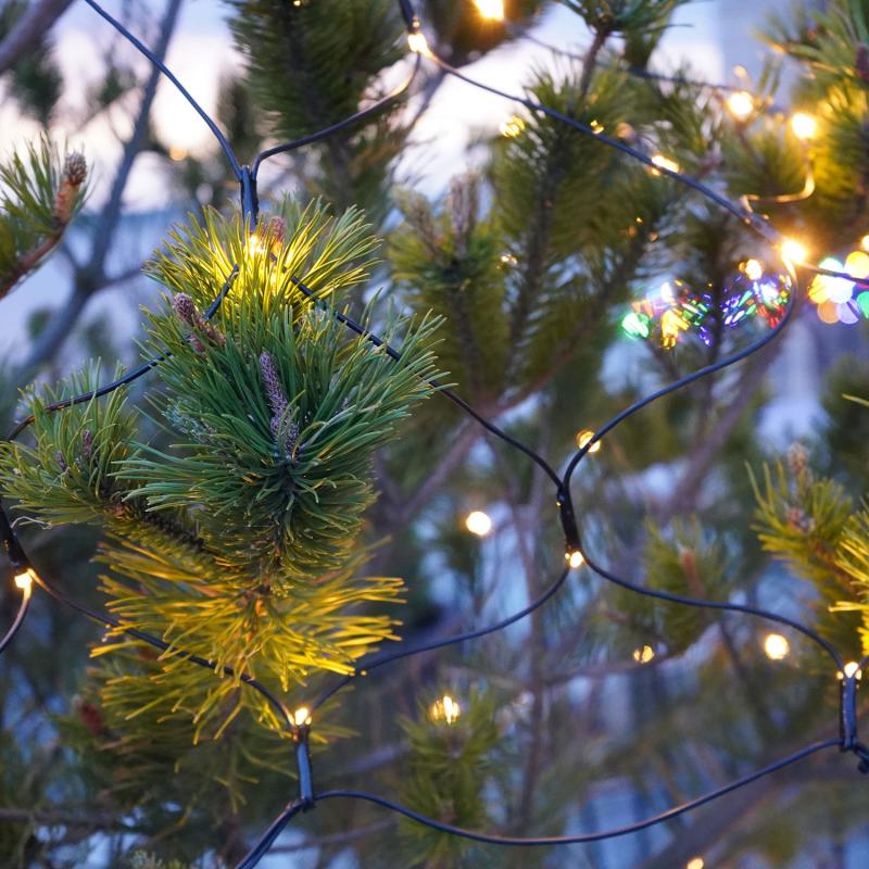 Sirius - Top-Line Energy Net Supplementsæt 100L