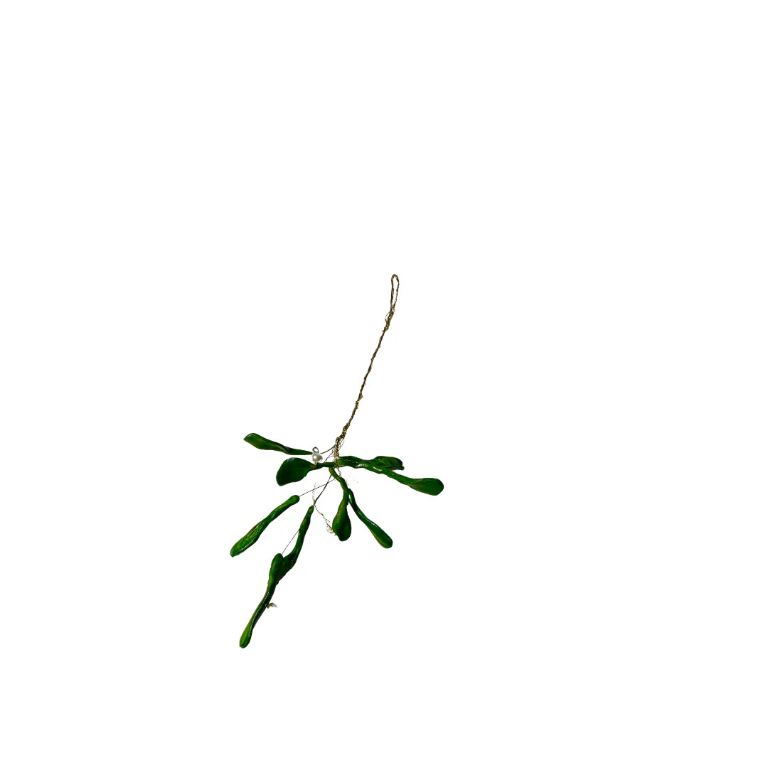 Medusa Copenhagen Misleten Medusa Copenhagen Misleten