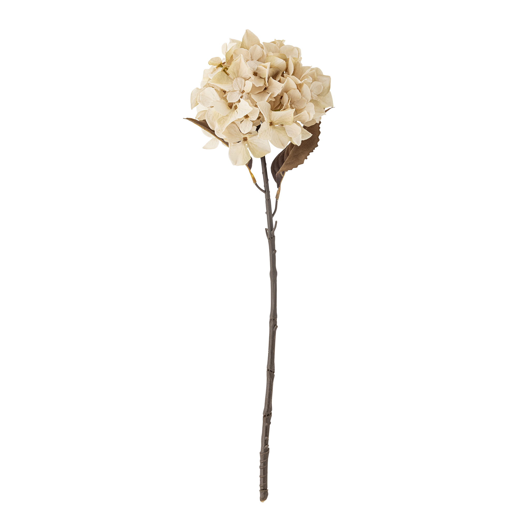 Bloomingville - Hydrangea Stilk, Natur, Kunstige Blomster, D20xH65 cm