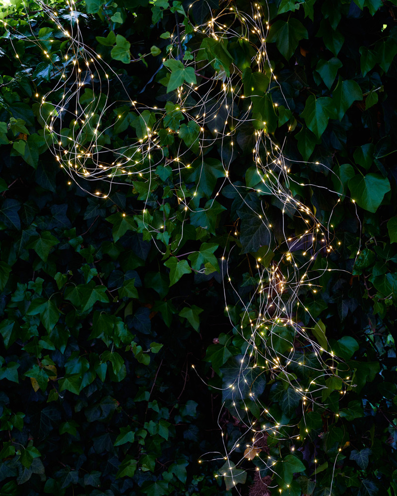 Sirius - Knirke lyskæde, 500 lys, klar/sølv billede