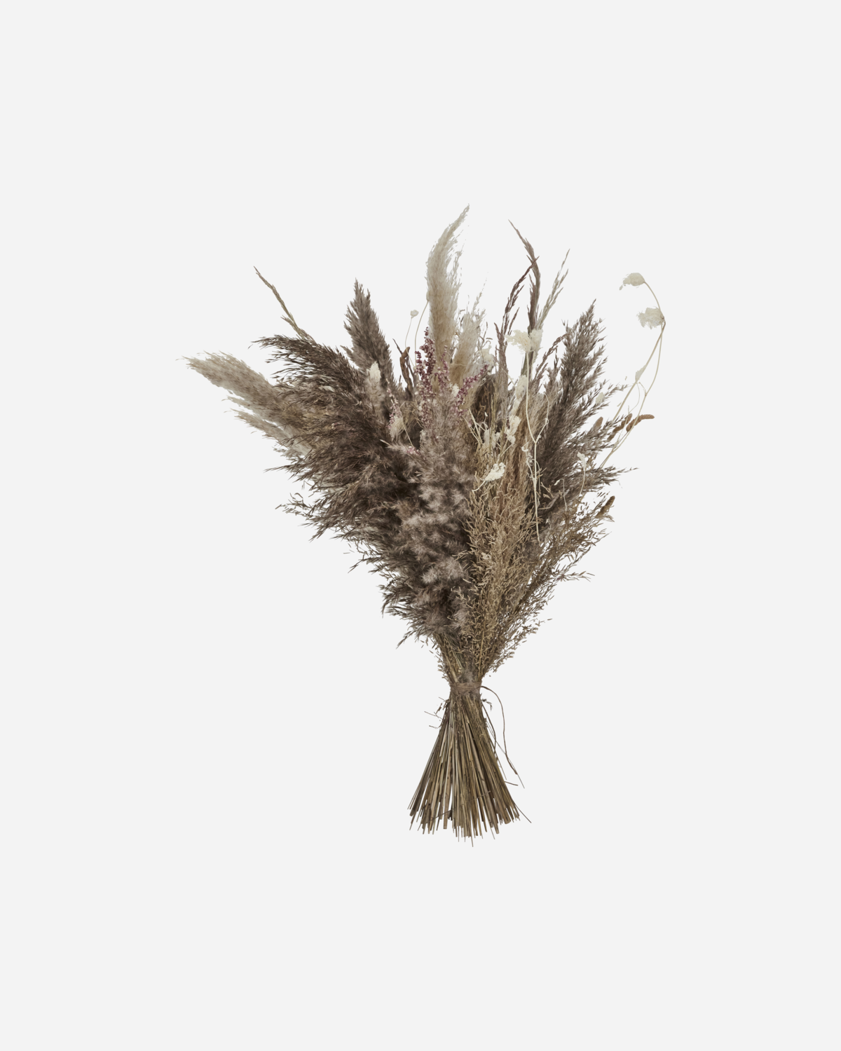 Meraki - , Dried Flower Bouquet, Multi