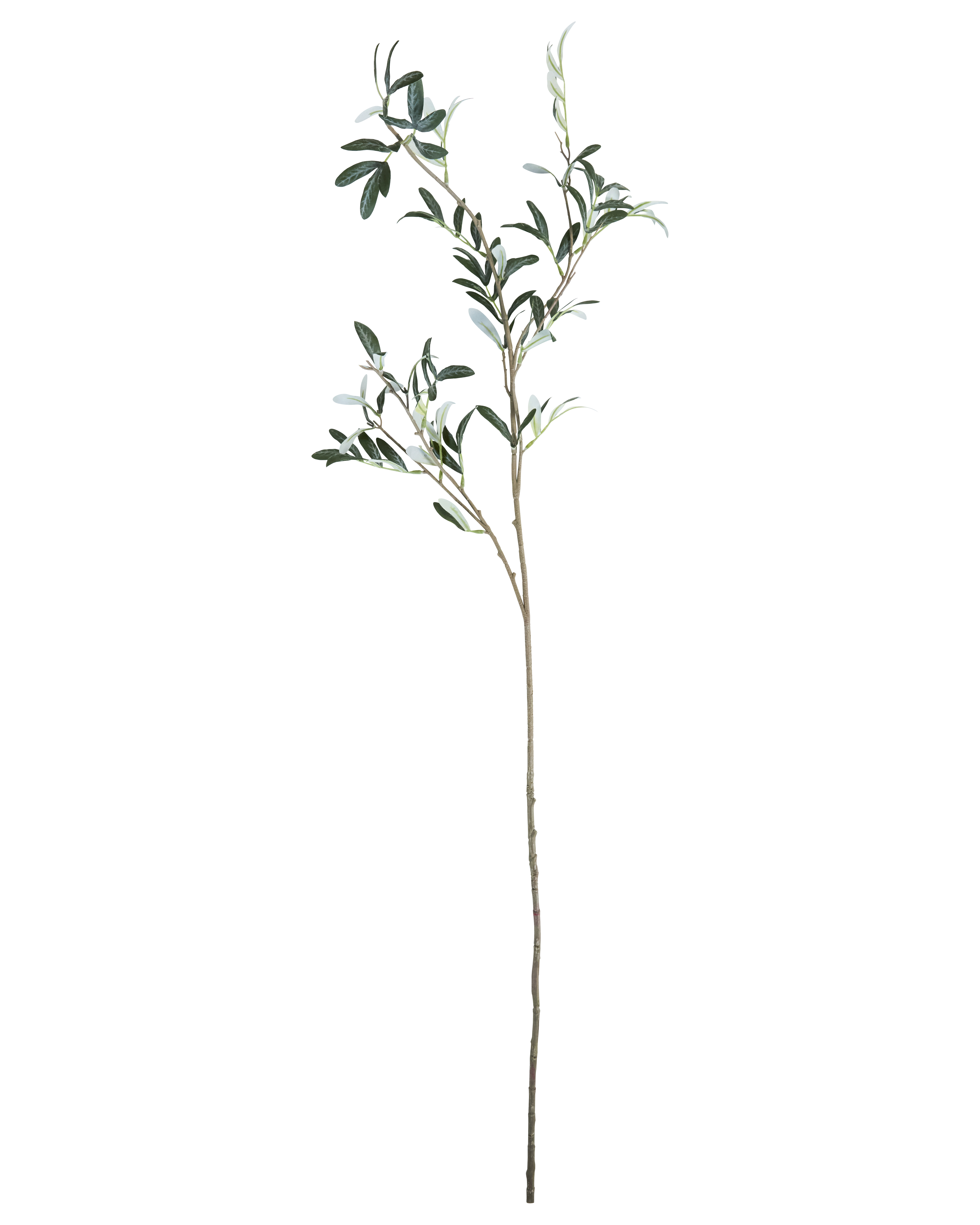 House Doctor - Artificial branch, Olive, Grøn