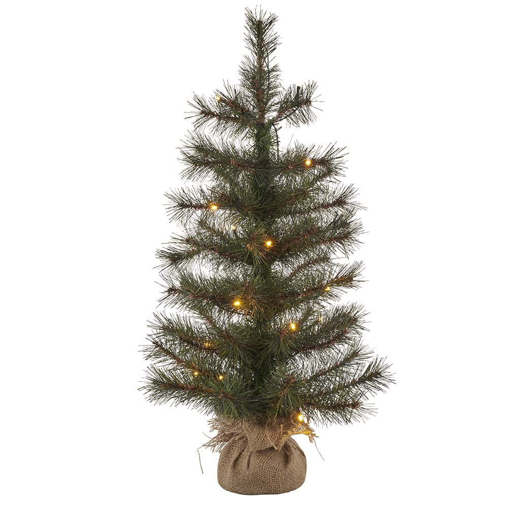 Sirius - Alvin, H 60 cm