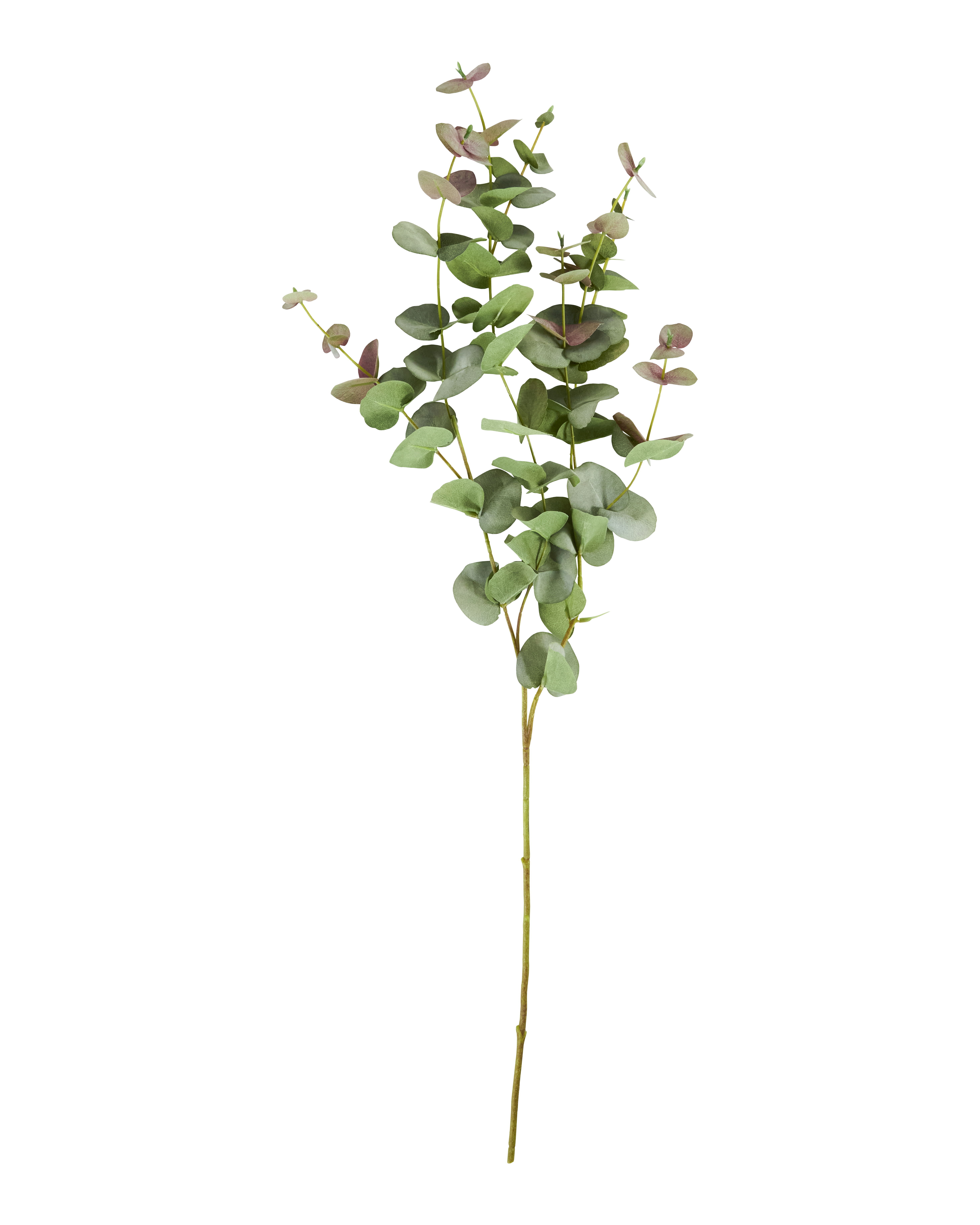 House Doctor - Artificial branch, Eucalyptus, Grøn