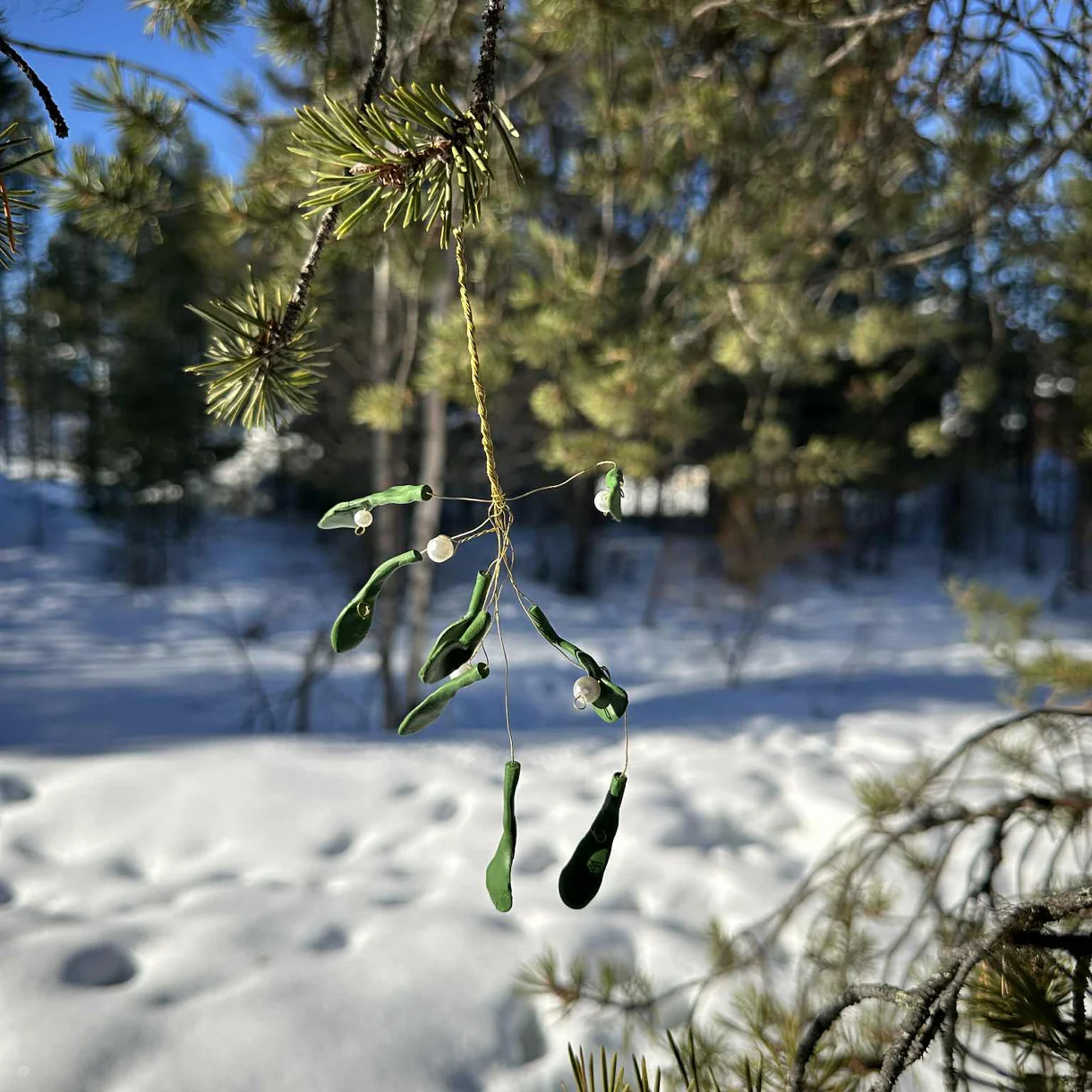 Medusa Copenhagen Misleten Medusa Copenhagen Misleten