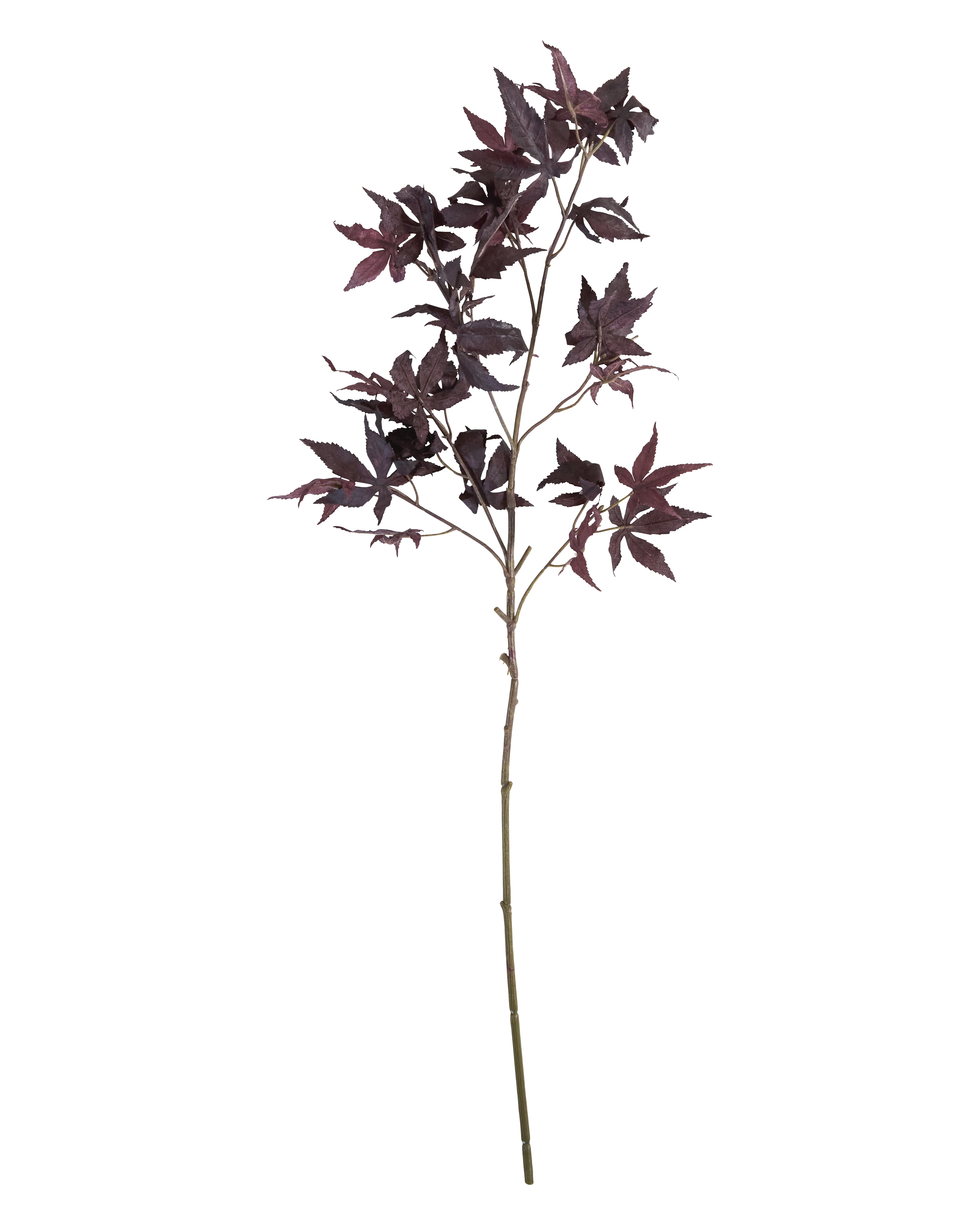 House Doctor - Artificial branch, Maple, Bordeaux