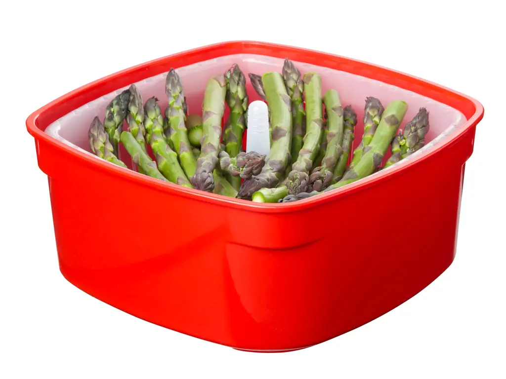 Sistema Medium Steamer 2,4l Sistema Medium Steamer 2,4l