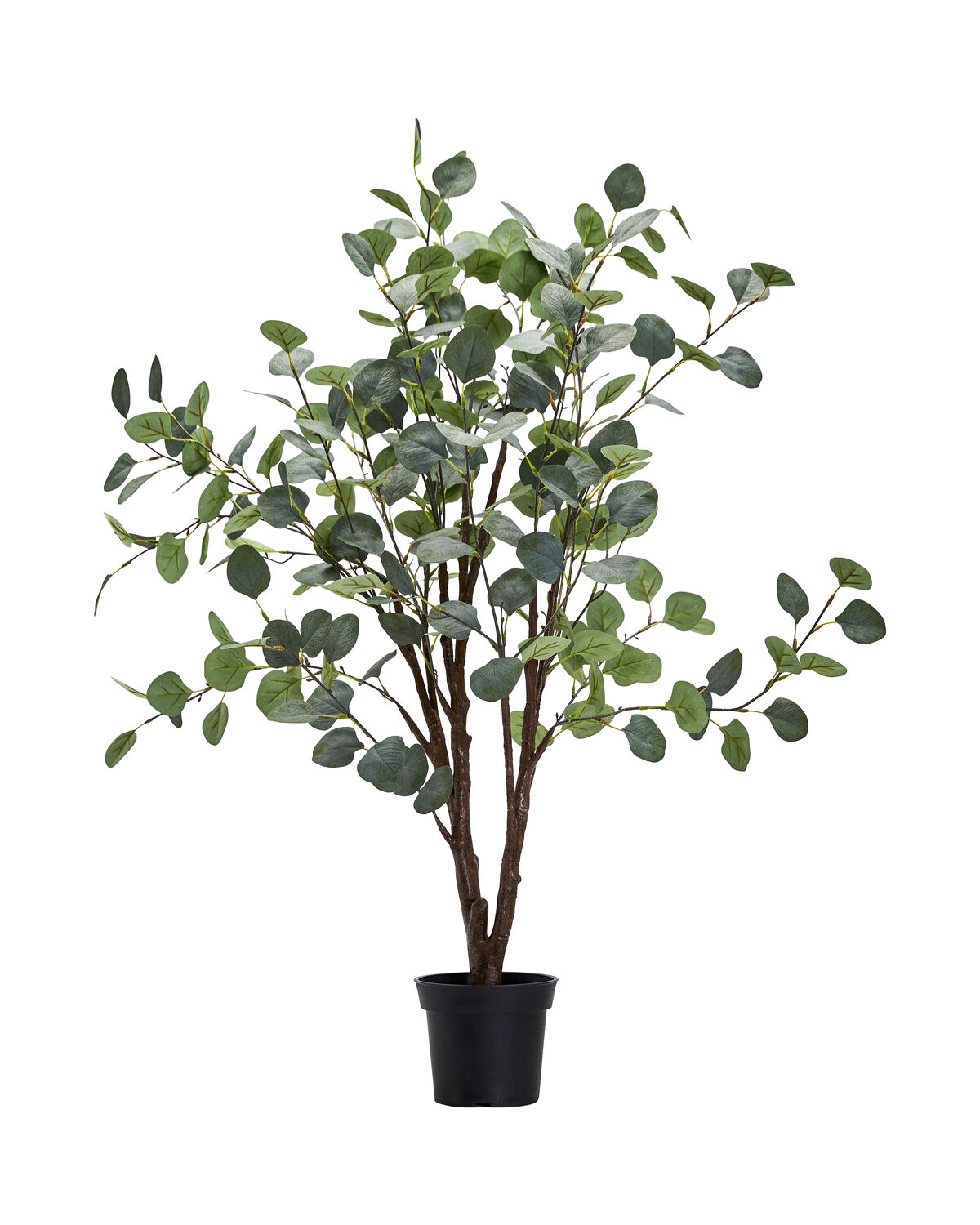 House Doctor - Kunstig plante, Eucalyptus, Grey, Green